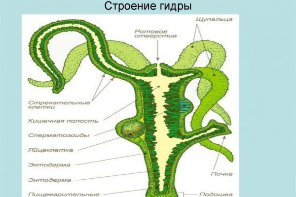 Проблемы со входом на кракен