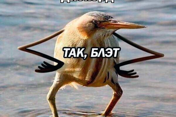 Кракен маркет тор