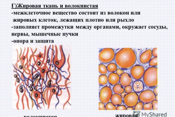 Что случилось с кракеном сайт